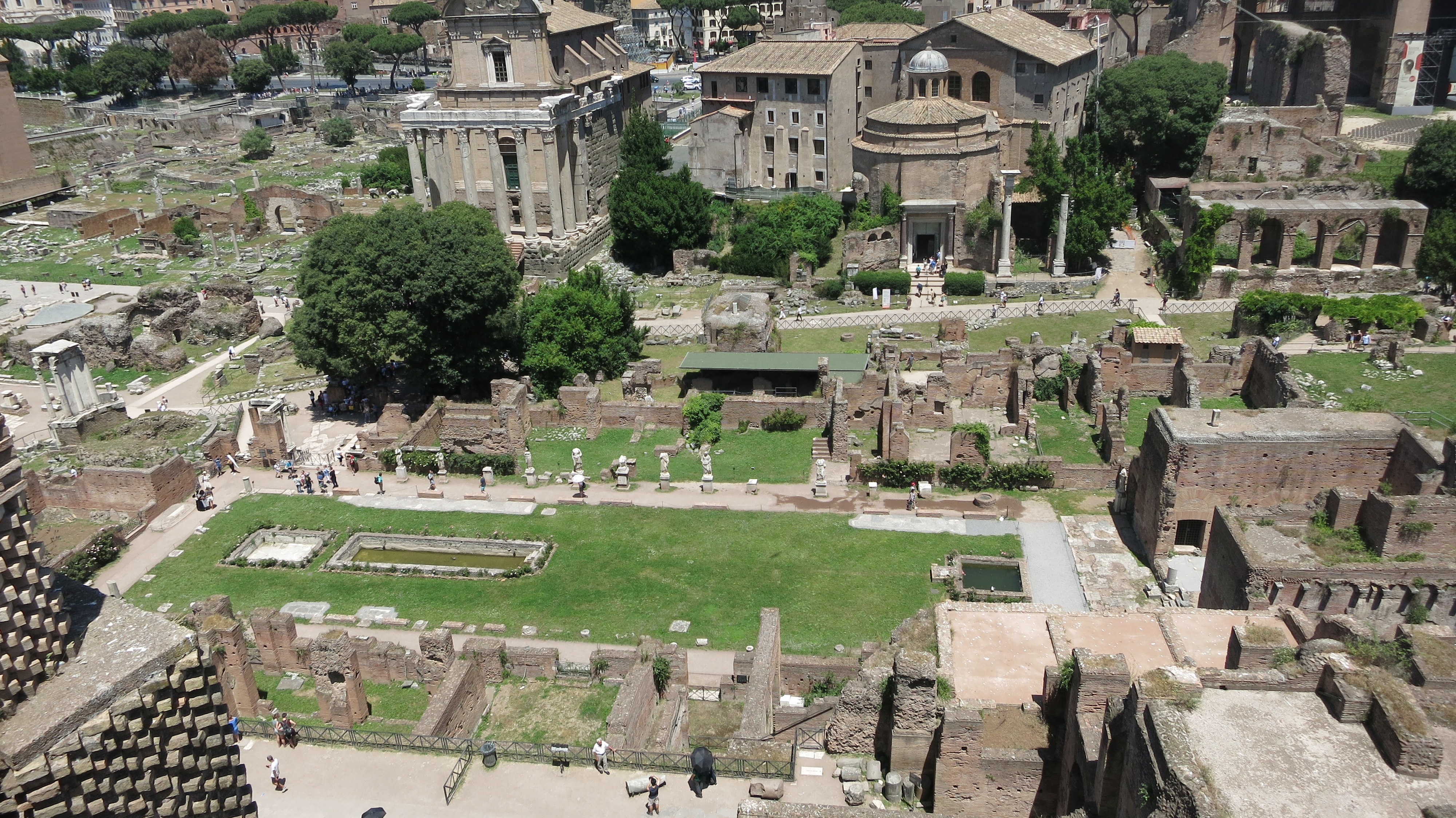 
                       Figure 2: A view of the forum from the Palatine
                  